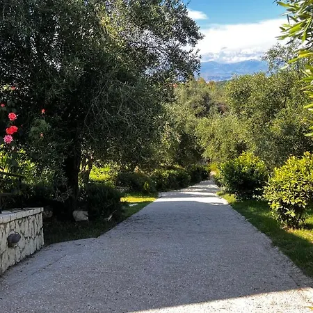 Sania * Kassiopi
