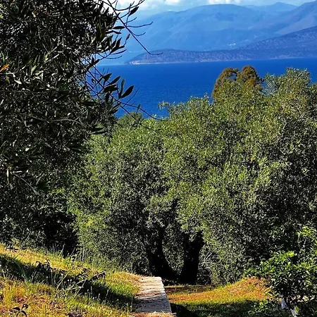 Villa Sania *