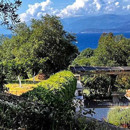 Sania * Kassiopi