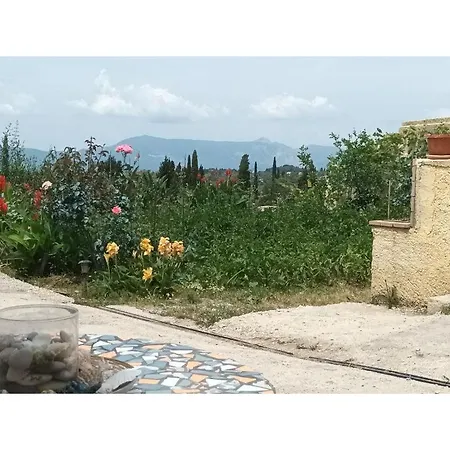 Patsou * Sinarades