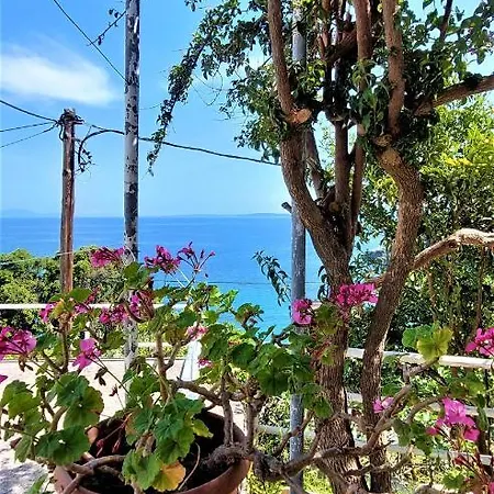 Apartment House Lana Perama (Corfu)