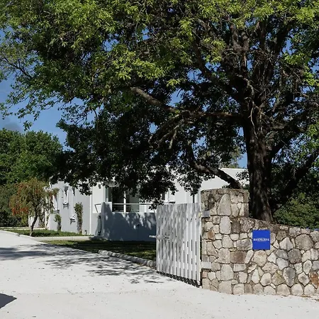 Villa Rosemarine *
