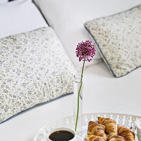 Nest Apartment