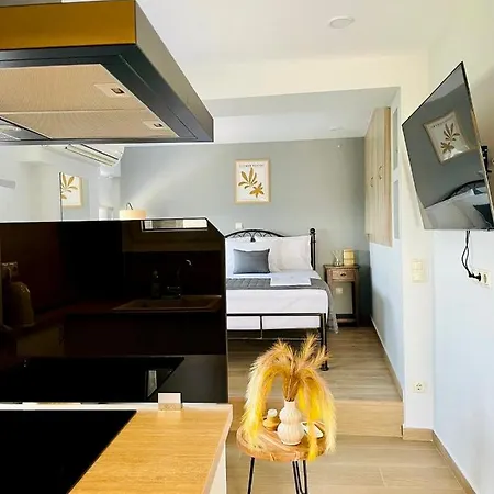 Iris Luxury House