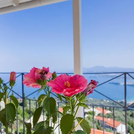 Holiday home Corfu Sight Blue Spartylas
