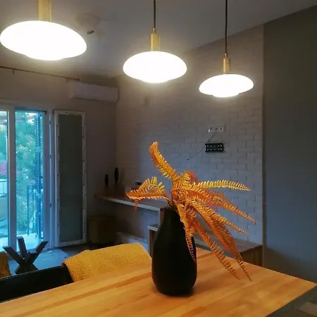 S&g House Apartment *
