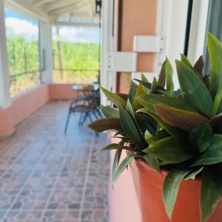 Venetian Gem Corfu Retreat