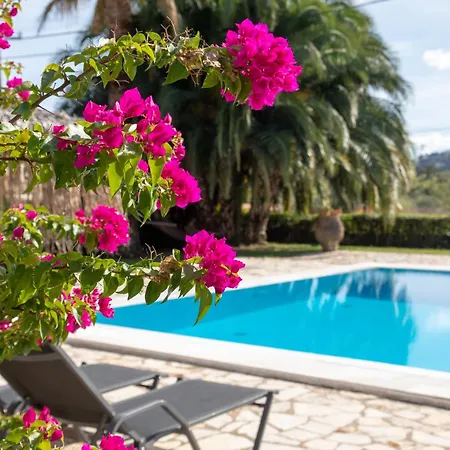 Apartment Gerekos Island