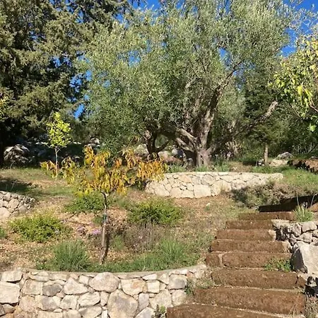 Sea Front House In Kassiopi