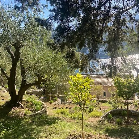 Sea Front House In Kassiopi