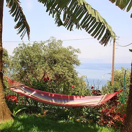 Pantazis *