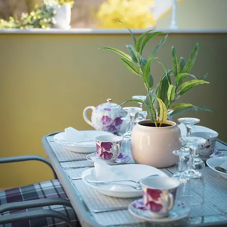 Melina's Bright Apartment, Apartment Viros