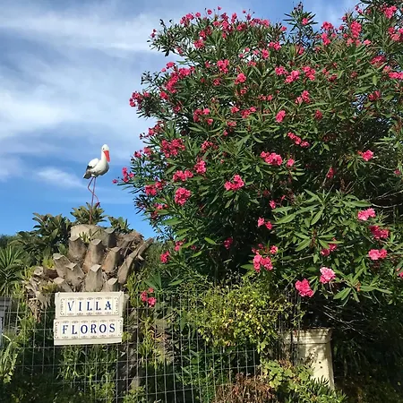 Floros Agios Stefanos Avliotes (Corfu)