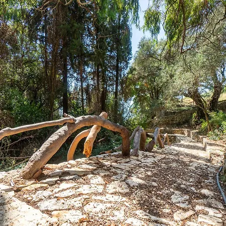 Armonia Villa