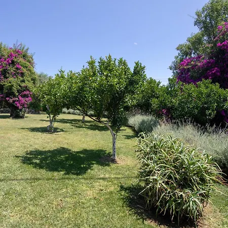 Ionian Garden - Pietra