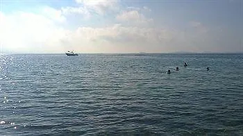 Gorgona * Ipsos