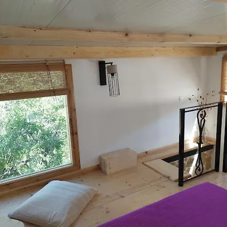 Gruene Haus Holiday home *