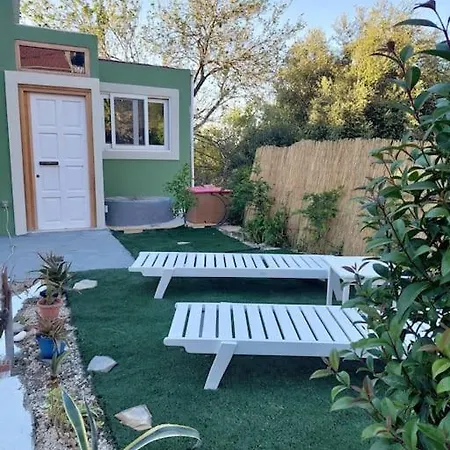 Holiday home Gruene Haus *