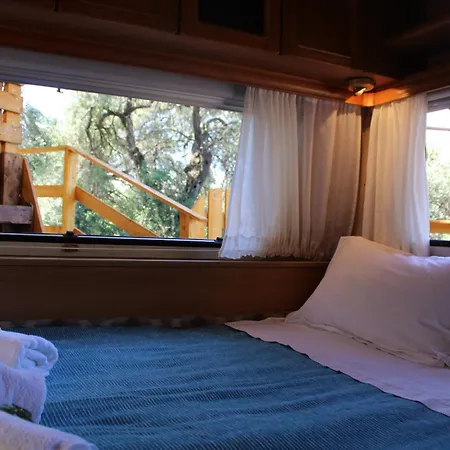 Campsite Nature Habitat Pentati