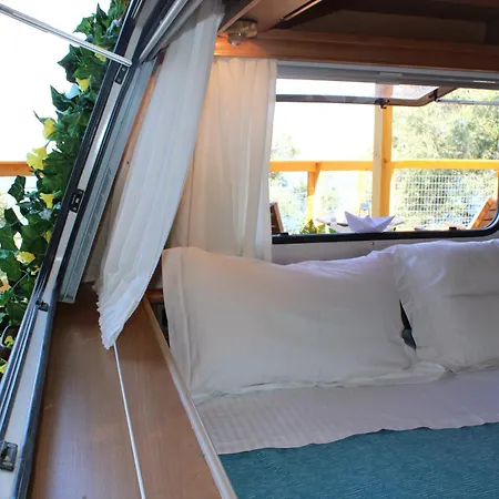 Campsite Nature Habitat Pentati