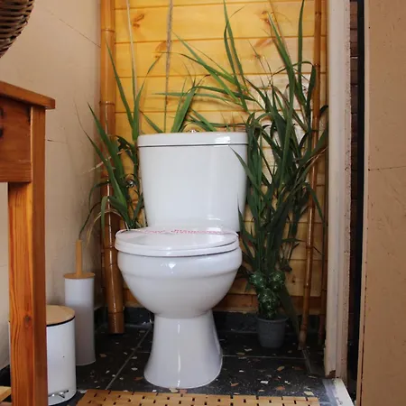 Nature Habitat