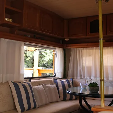 Campsite Nature Habitat
