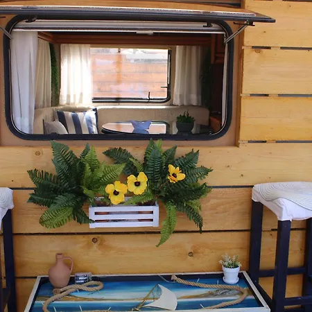 Nature Habitat Campsite