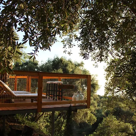 Nature Habitat Pentati