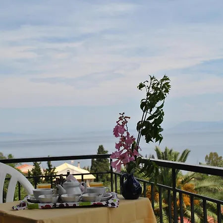 Helios Splendid 3*