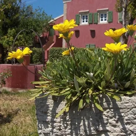 De Loulia