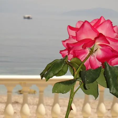 Corfu Sun Sea Side