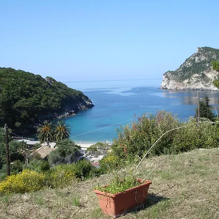 Bozikis &