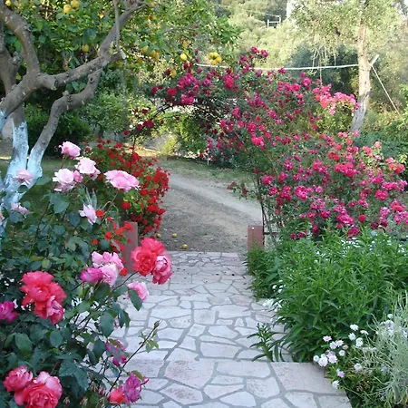 Apartment Bozikis &