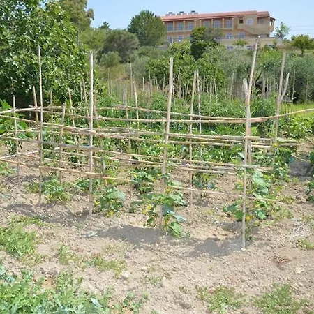 Anna Apartment Marathias (Corfu)