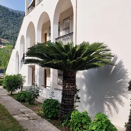 Casa Alema Ipsos