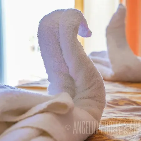 Aparthotel Angelina &