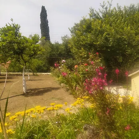 Elm Poulades
