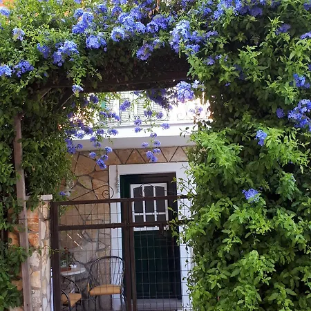 Garneli Apartment *