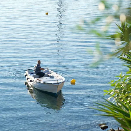 Vilelmina