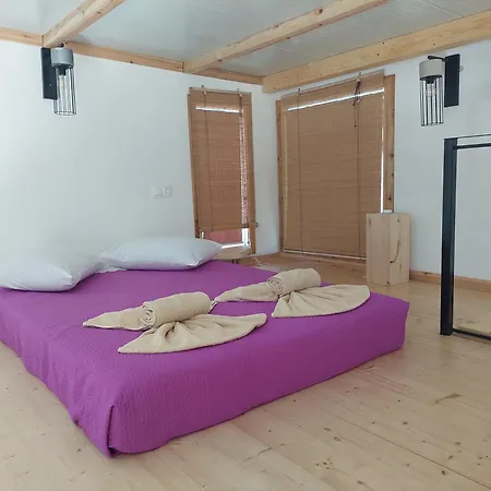 Gruene Haus * Afionas