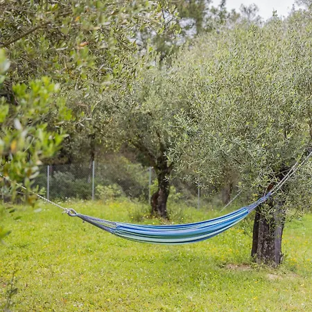 Matthaeus Am Corfutrail, Ferienoase Im Olivenhain 3 Km Zum * Giannades