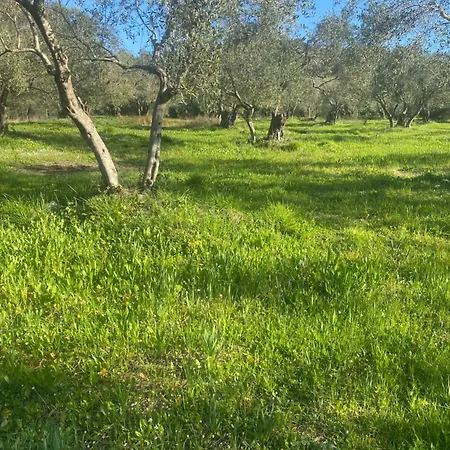 Holiday home Spiros Place Corfu
