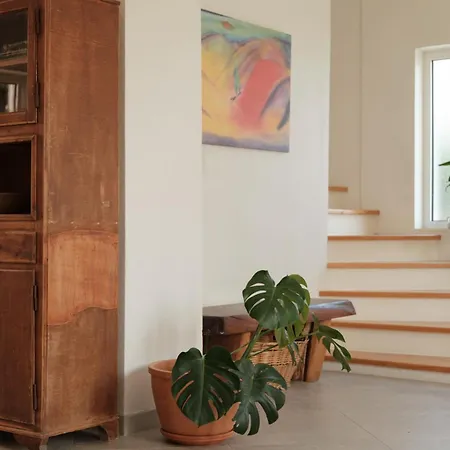Zacharenia Cozy House With Sea Views Holiday home Avliotai