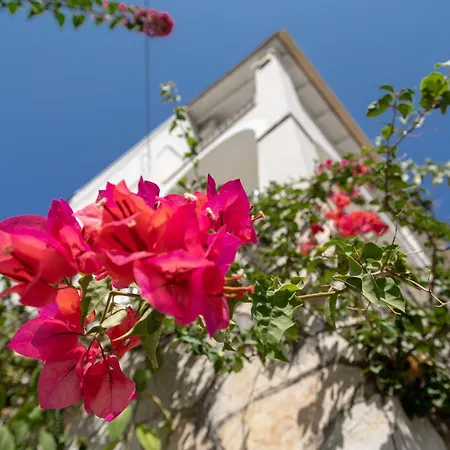 Anastar Villa Agios Stefanos (Thinali)