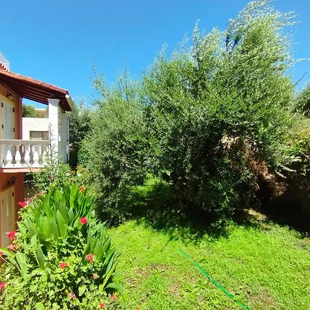 Angelos Apartment's * Arillas (Corfu)