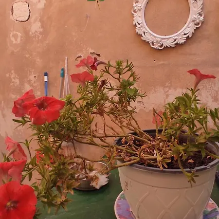Appartement Casa Di Mare