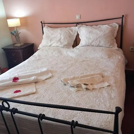 Fox's Sunshine Apartment *