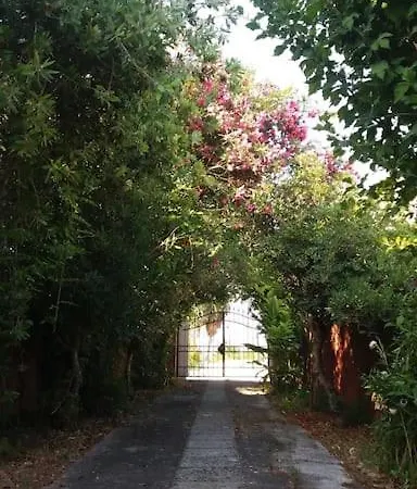 A Sense Of Calm & Relaxation Holiday home Velonades (Corfu)