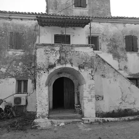 Belvedere Di D'oro