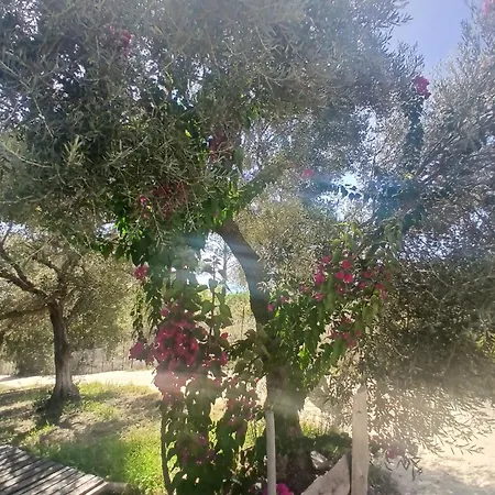 Kostas Marathias Corfu (city)